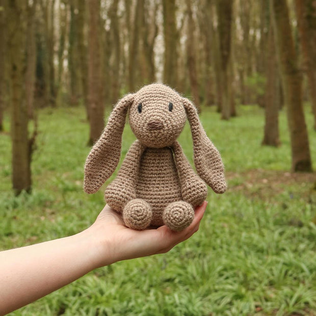 Emma the Bunny Kit Level 1