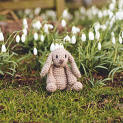 Mini Emma the Bunny Kit Level 1
