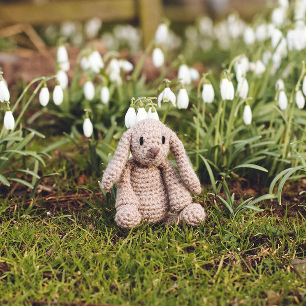 Mini Emma the Bunny Kit Level 1