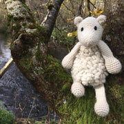 Simon the Sheep Kit Level 1