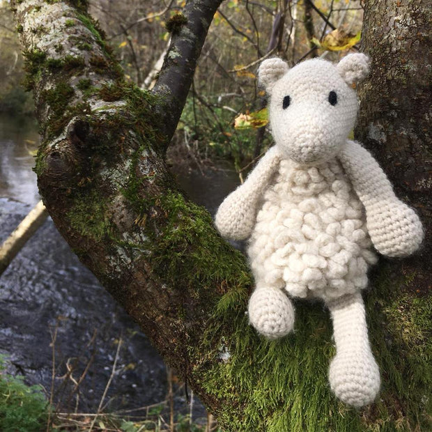 Simon the Sheep Kit Level 1